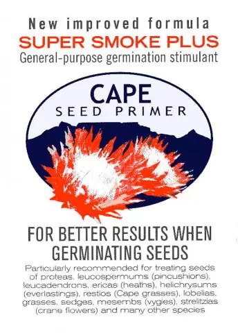 Smoke Primer - Fynbos Germinator Disc - (1 disc) Smoke Infused Paper Disc Germination Aid for