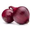 Allium cepa 'Rouge Foncé de Hollande' - Onion Red Burgundy,   red onion,   red onion brunswick wine,   dark red onion from holland,   brunswick onion - Image 2