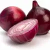 Allium cepa 'Rouge Foncé de Hollande' - Onion Red Burgundy,   red onion,   red onion brunswick wine,   dark red onion from holland,   brunswick onion - Image 3