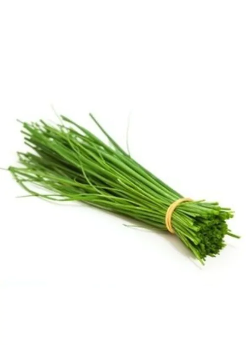 Allium schoenoprasum 'Fine Leaved' - Chives 'Fine Leaved' - Image 5