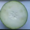 Benincasa hispida - Winter Melon, Wax Gourd, Ash Pumpkin - Image 6