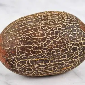 Cucumis sativus var. sikkimensis - Sikkim Cucumber