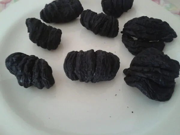 Garcinia gummi-gutta - Garcinia cambogia - Image 2