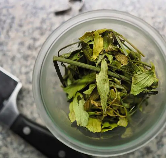 Levisticum officinale - Levistico, liveche, lovage, maggi herb, ligustic leaves - Image 4