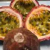 Passiflora Collection - Kit 75 Passionflower Seeds - Passion Fruit Seeds Combo - 5 Seeds from 15 different species - Image 7