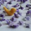 Viola odorata - Wood Violet, Sweet Violet, The Czar, English Violet, Common Violet, Florist'S Violet, Garden Violet - Image 6