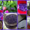 Viola odorata - Wood Violet, Sweet Violet, The Czar, English Violet, Common Violet, Florist'S Violet, Garden Violet - Image 7