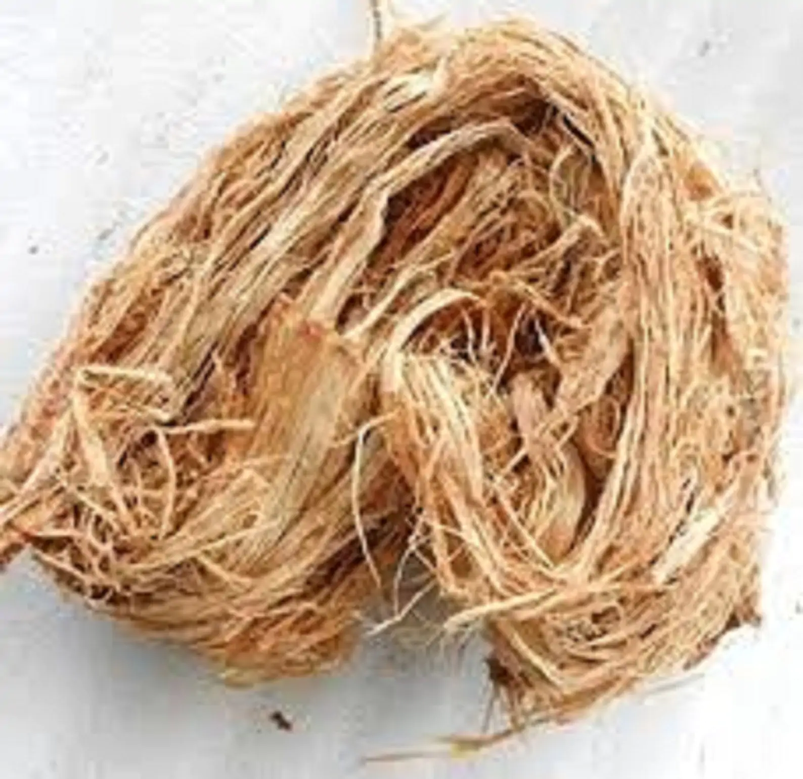 Acacia caesia - Palinja, Incha, Soap bark - Image 4