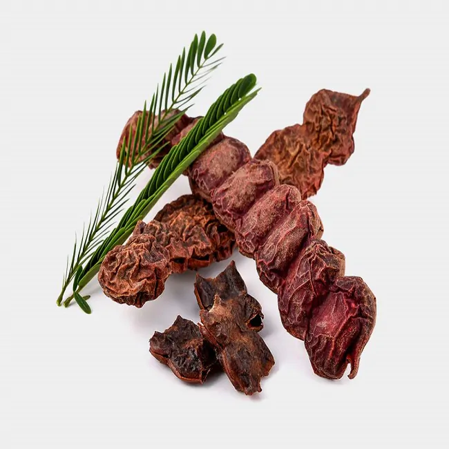 Acacia concinna / Acacia sinuata - Shikakai, Hair Fruit - Image 4