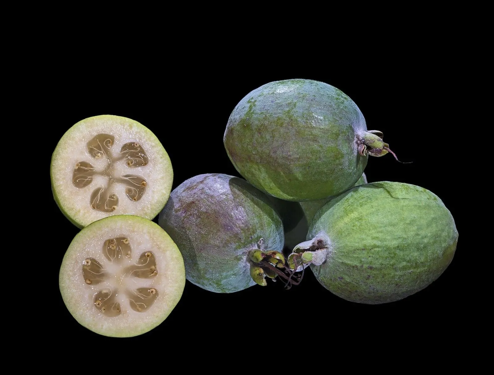 Acca sellowiana - Feijoa, Pineapple Guava, Guavasteen, Goyavier du Brésil - Image 2