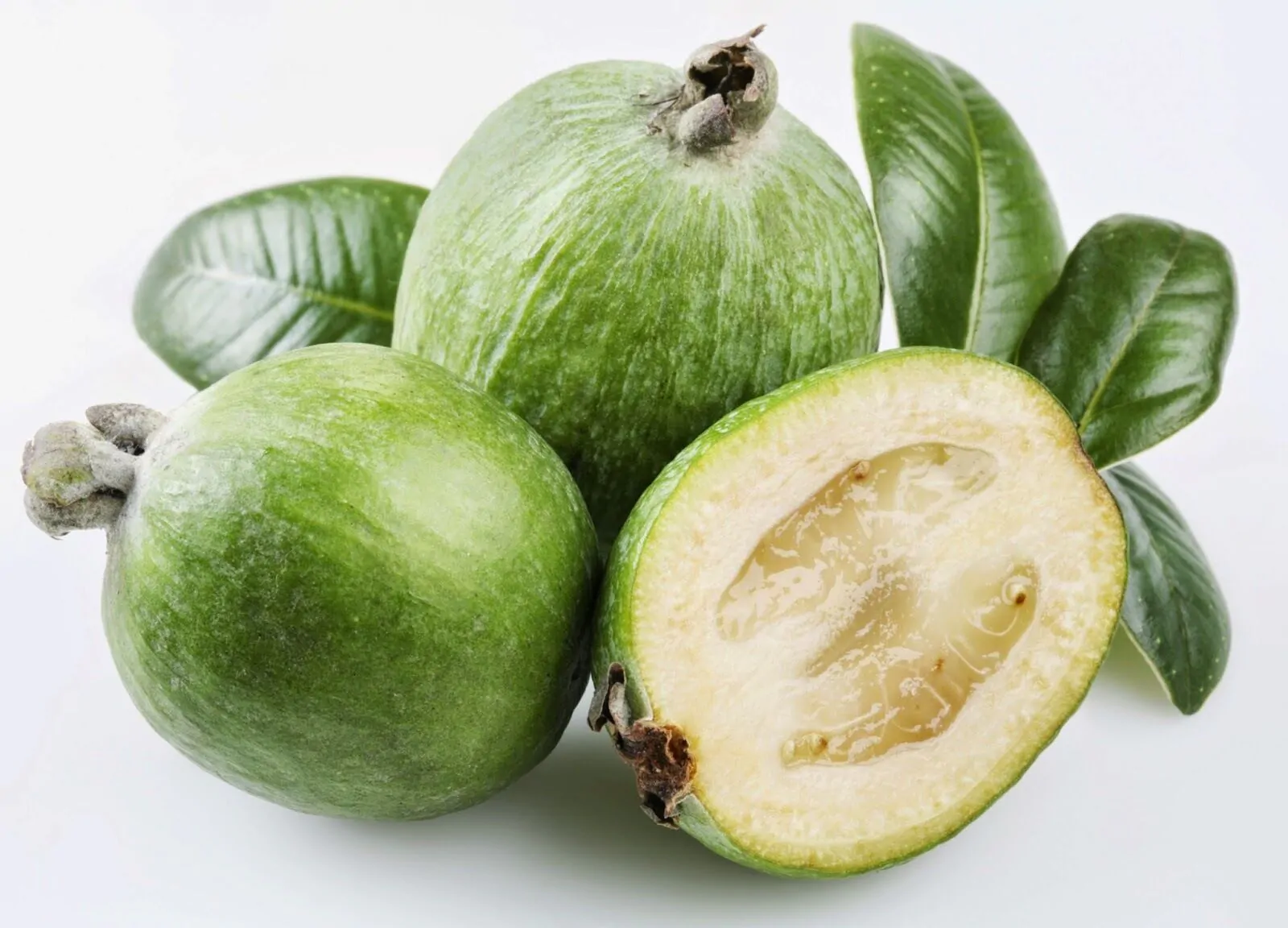 Acca sellowiana - Feijoa, Pineapple Guava, Guavasteen, Goyavier du Brésil - Image 3