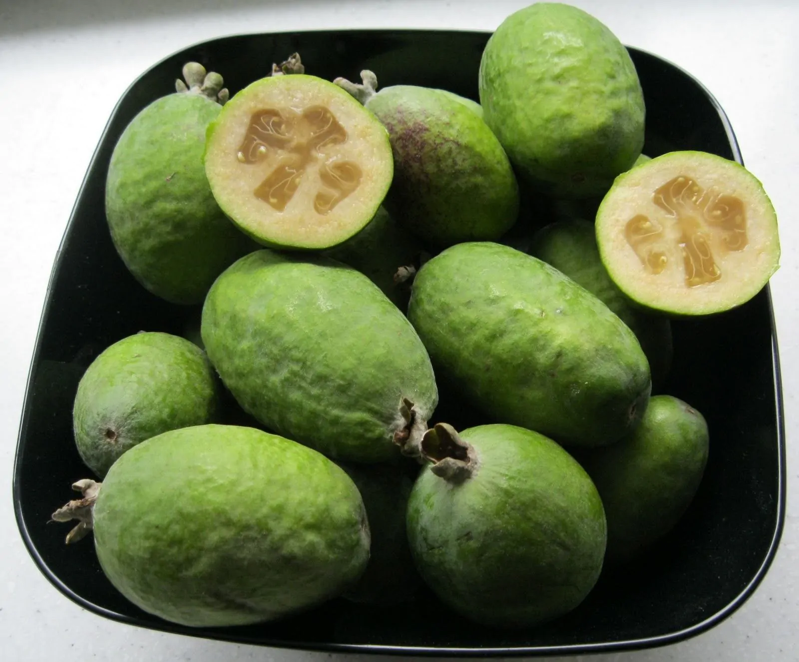 Acca sellowiana - Feijoa, Pineapple Guava, Guavasteen, Goyavier du Brésil - Image 4