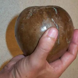 Alibertia patinoi / Borojoa patinoi - Borojó, Borojo