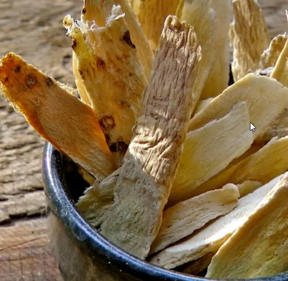 Astragalus propinquus / Astragalus membranaceus / Phaca membranacea - Astragalus membranaceus, Astragal, huang chi, chinese milk-vetch - Image 8