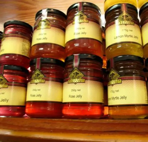 Backhousia citriodora - Murta Lemon, Lemon Perfumed Murray, Verbena Twelve Tree, Australian Lemon Myrtle - Image 10