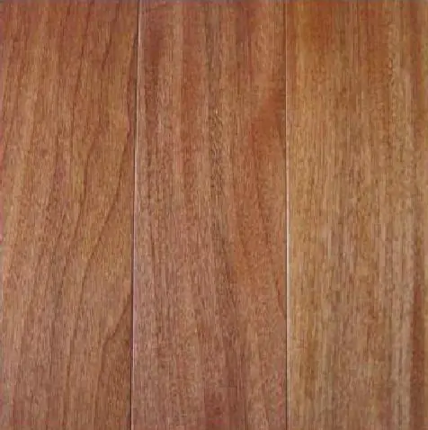 Chukrasia tabularis - White cedar, Indian mahogany, Indian sequoia, Burmese almond, bastard cedar - Image 4