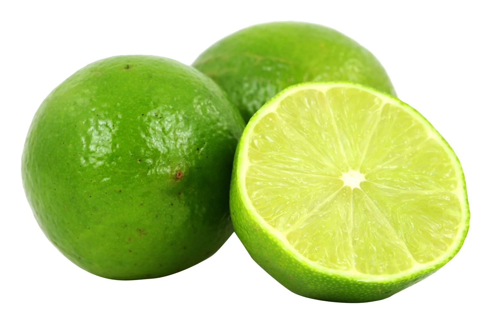 Citrus aurantifolia / Citrus × aurantiifolia - Key Lime, West Indian Lime, True Lime