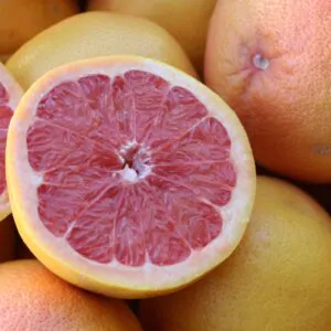 Citrus maxima 'Pink' - Pink Pomelo, Shaddock, Chinese grapefruit