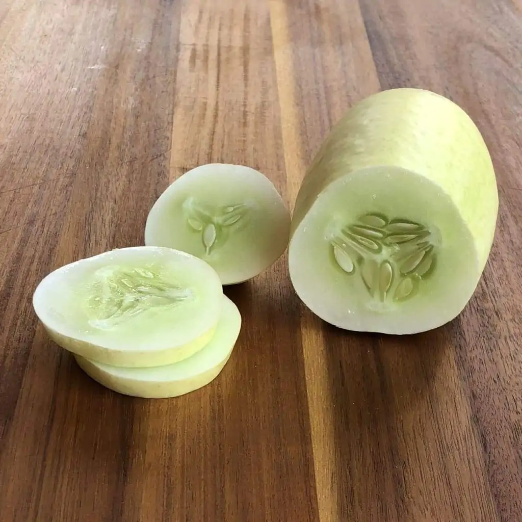 Cucumis sativus 'White Wonder' - Cucumber, Baby Persian, Snack Cucumber, Garden Cucumber, Gherkin - Image 3