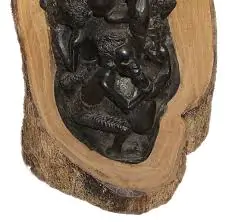 Diospyros ebenum - Ceylon Ebony, India Ebony Tree - Image 5