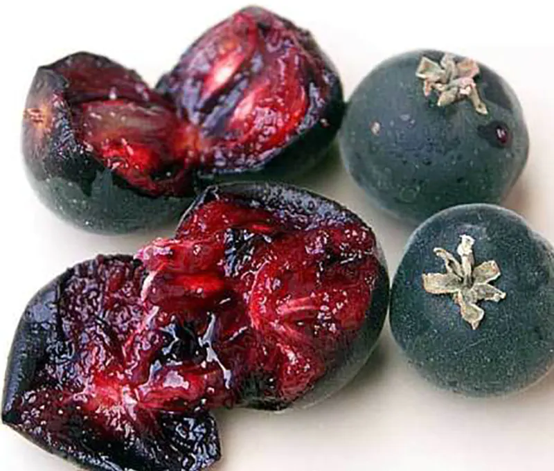 Dovyalis hebecarpa - Ceilon-ketembilla curry - Image 3