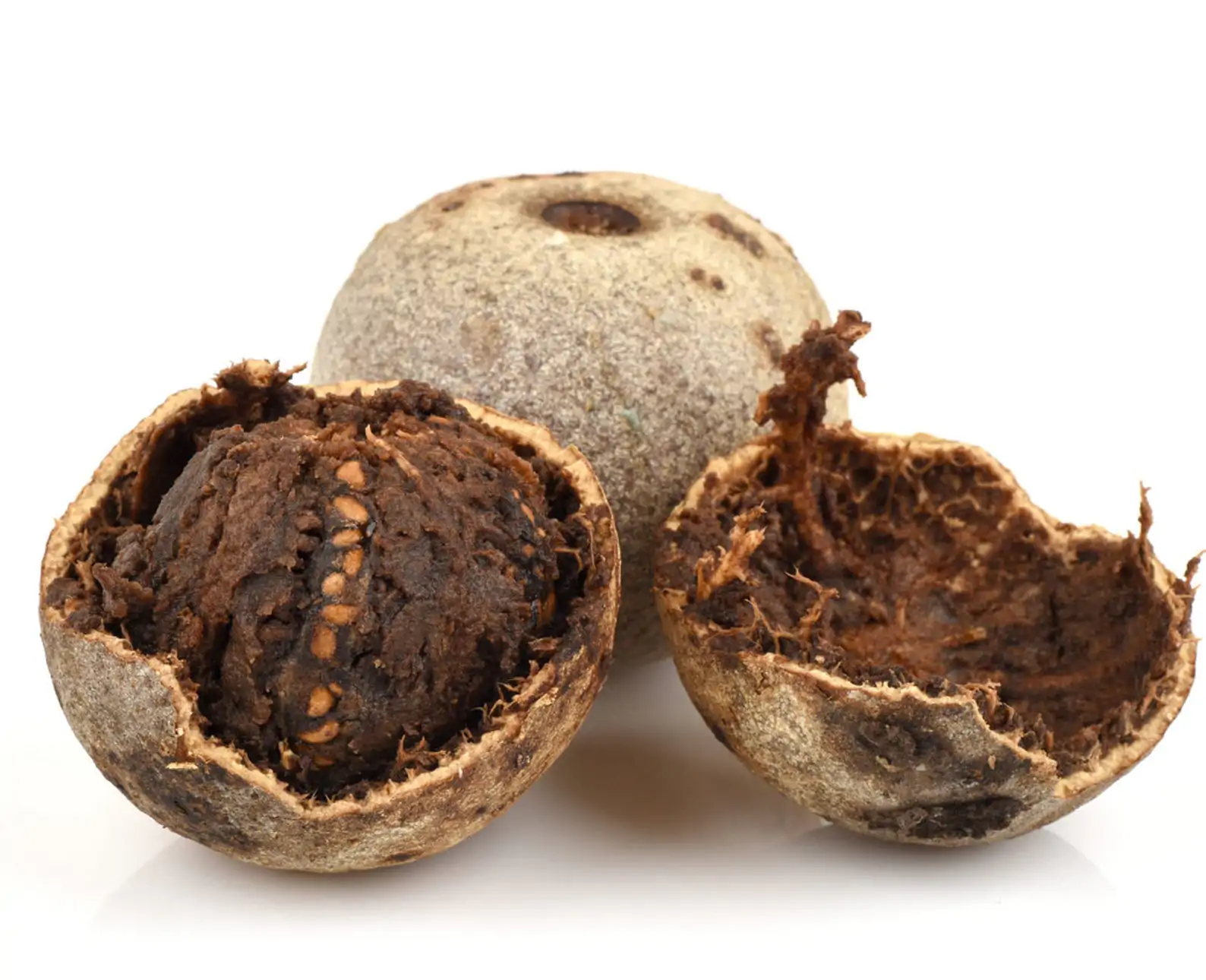 Limonia acidissima - Wood Apple, Elephant Apple