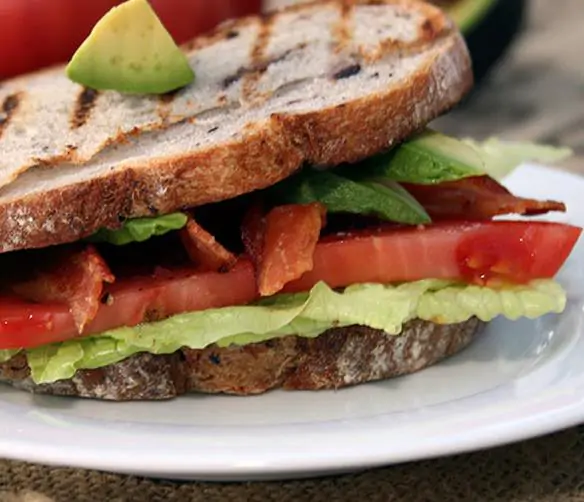 Solanum lycopersicum / Lycopersicon esculentum - Rose Bern, Rose Bern Tomato - Image 10