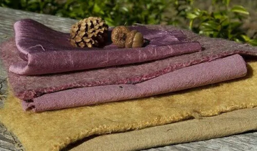 Mahonia aquifolium - Oregon grape - Image 4