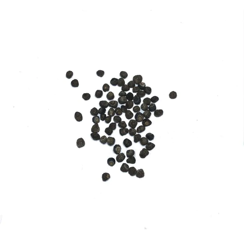 Musa balbisiana var. balbisiana - Sweet Banana - Image 4