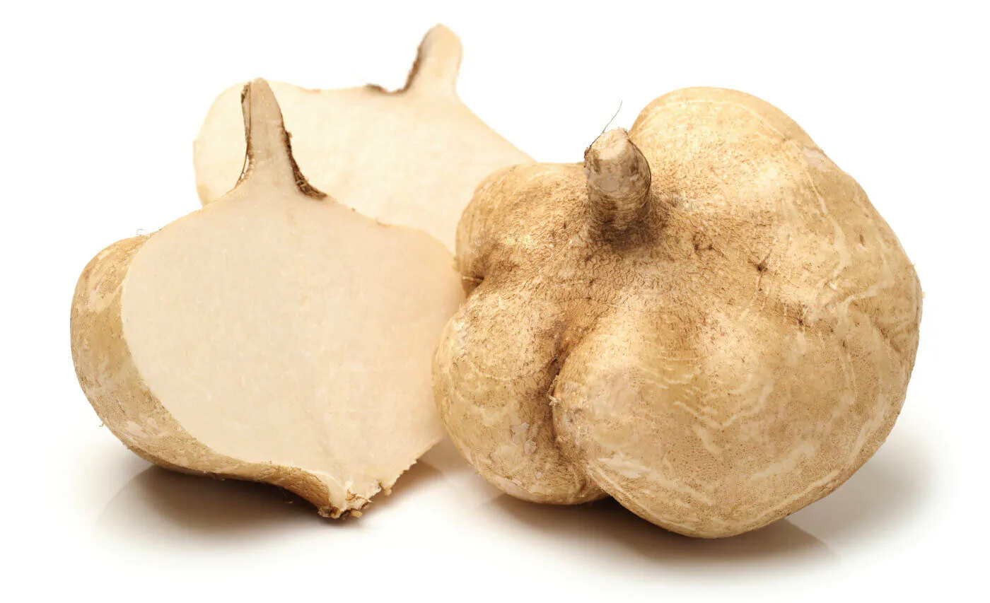 Pachyrhizus erosus - Jícama, Mexican Yam Bean, Mexican Turnip