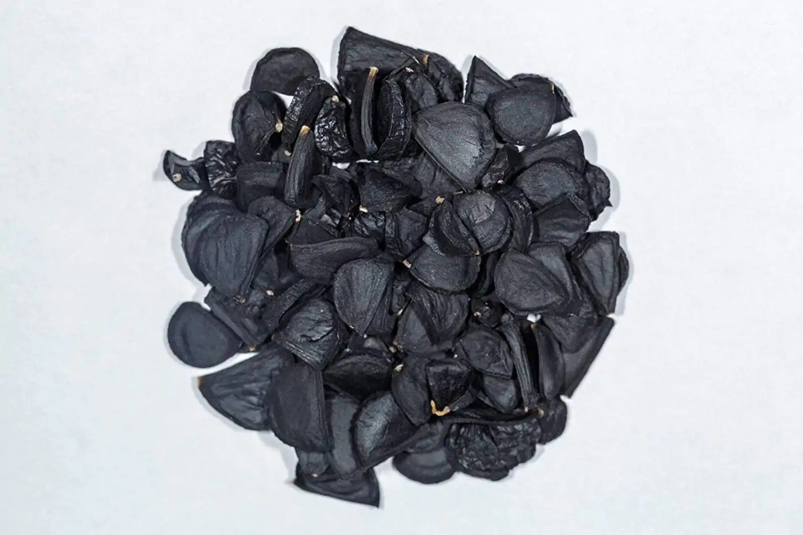 Yucca rigida - Blue Yucca - Image 4