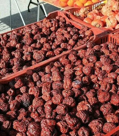 Ziziphus jujuba / Paliurus mairei / Rhamnus jujuba - Jujube, Red date, Chinese date - Image 7