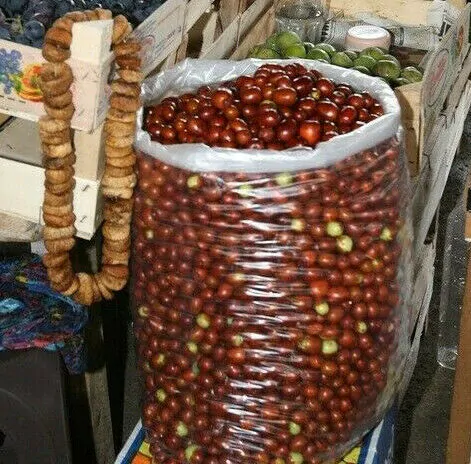 Ziziphus jujuba / Paliurus mairei / Rhamnus jujuba - Jujube, Red date, Chinese date - Image 8