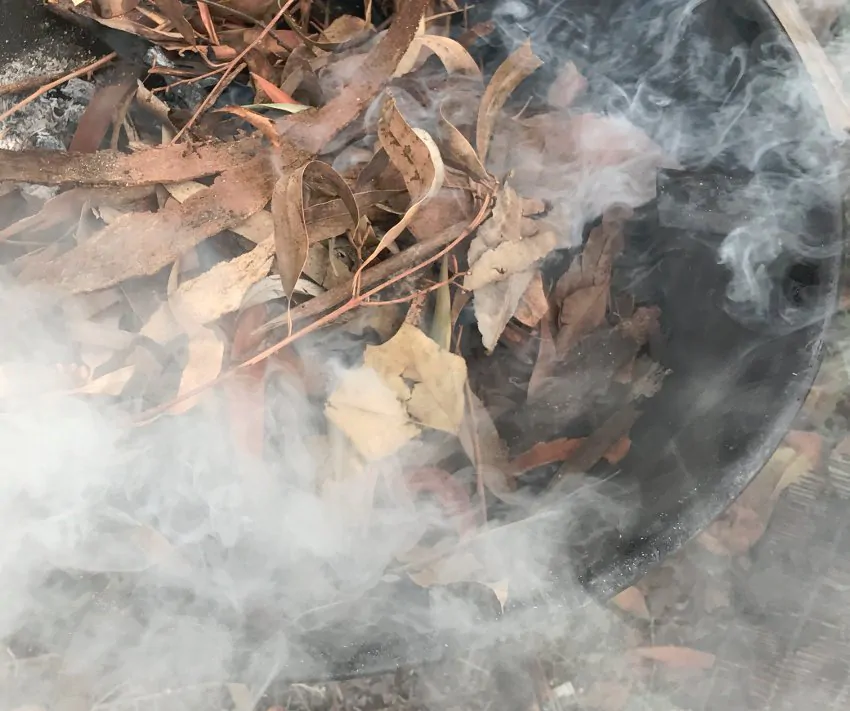 Smoke Primer - Fynbos Germinator Disc - Smoke Infused Paper Disc Germination Aid for Seeds - Image 6