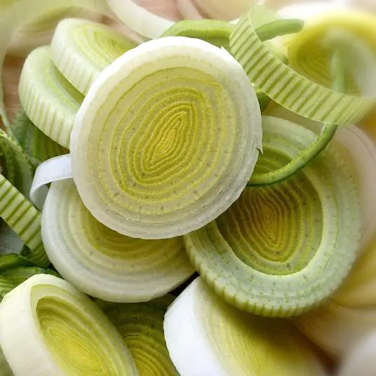 Allium porrum 'St Victor D'Hiver' - Violet Leaf, Leek Saint Victor - Image 7